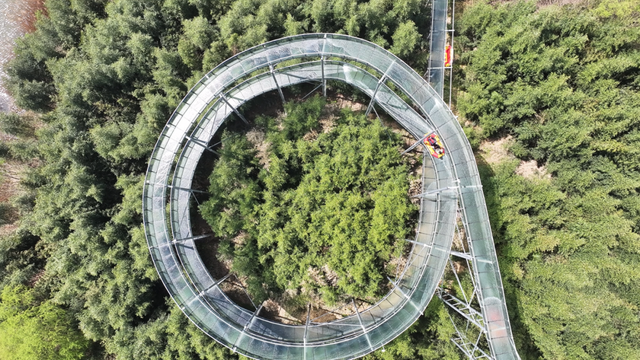 速藏启程！仪征秋季骑行一站式攻略，把秋景与趣味统统骑进眼里~