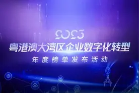 “数能”澎湃，动能“粤”起！2023粤港澳大湾区企业数字……图片