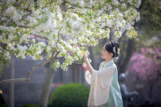 重磅消息！枣庄在校大学生师生限时福利来了，免费游台儿庄古城！