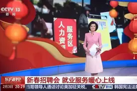 央视聚焦盐城市盐都区新春招聘会图片