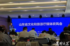 “相约亲情沂蒙 共享好客山东”2024山东省旅游发展大会logo、吉祥物发布图片