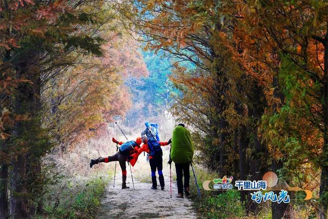 好客山东美食争霸赛 | 图览山海“饺”好运！
