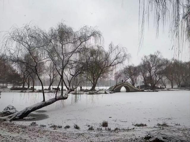 京城初雪！一大波雪景美图来了