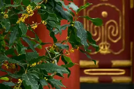 我在皇家园林里一边打工，一边写作图片