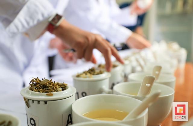 春天就要上茶山！来荣县，饮一口最早的春日鲜醇