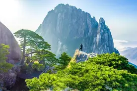 免票！可多次入园！安徽黄山风景区官宣！图片