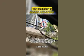 小区6楼业主破墙开窗，综合执法人员责令恢复原状图片
