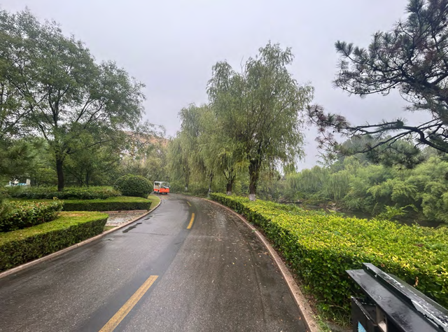 3.0时代开启！临沂动植物园焕新重塑，打造城市生态新地标