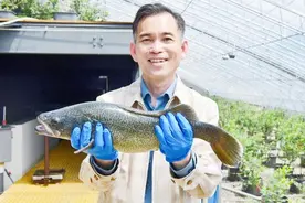 抗癌斗士逐梦乡村振兴图片