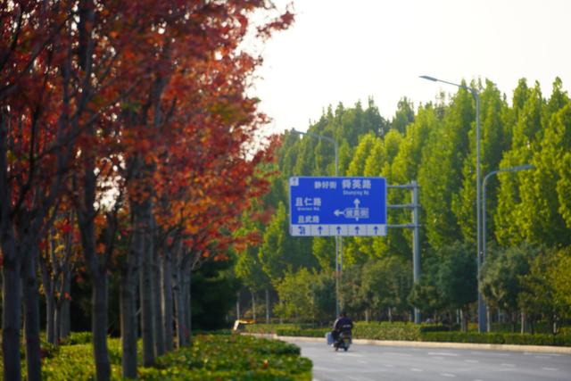 走，到郑州航空港“捡秋”去！丨港视角