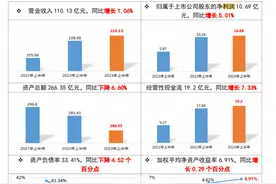 直击半年报发布会：驰宏锌锗锗产品表现亮眼，购入钼矿超10年未投产遭质疑图片