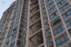 大象帮丨新乡牧野区：小区电梯停摆 业主苦不堪言图片