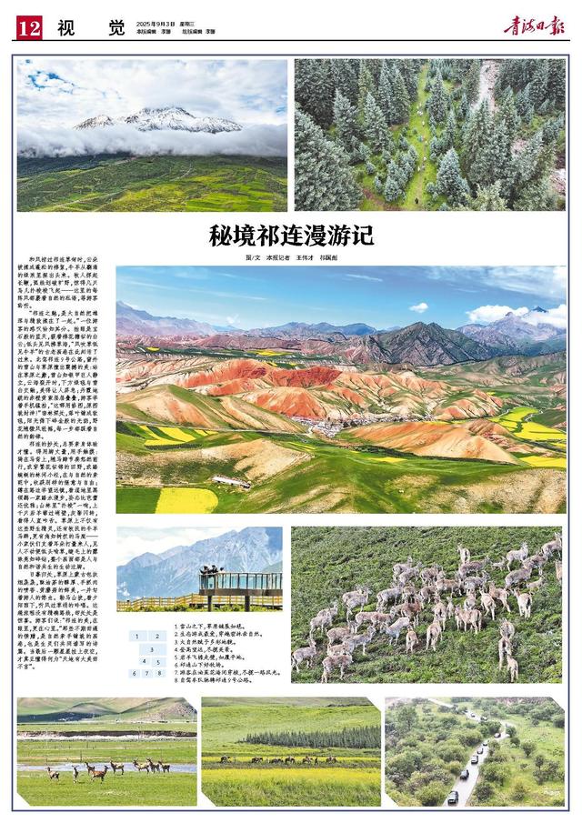 秘境祁连漫游记 图/文  本报记者  王伟才  祁国彪