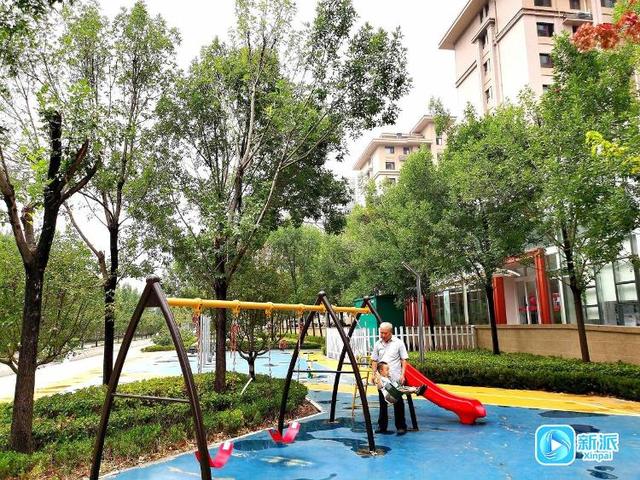 遛娃健身学知识！潍坊这个口袋公园太全能