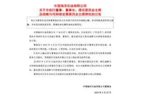 63岁汪东进卸任中海油董事长图片