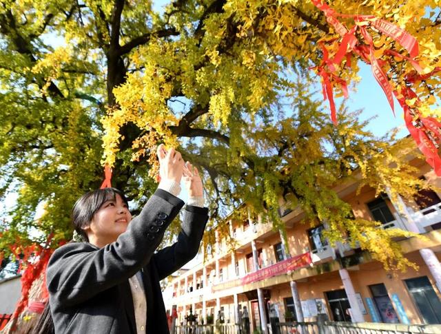 巢湖这里，即将美成巅峰！（附实拍图）