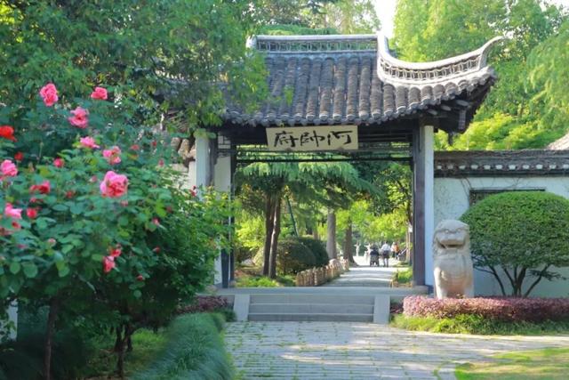 苏H淮安“拍了拍”苏M泰州，说……
