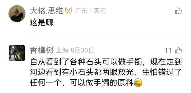 来辽宁“寻宝”，捡石头路线都给你摸清楚儿的