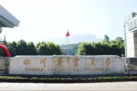 9330人！川农大2024年招生政策出炉图片