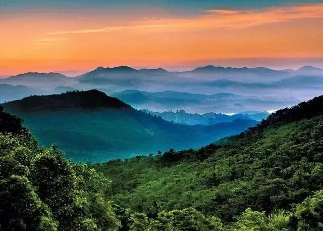 央视大片《珠江》里的花都③：珠江畔的生态诗篇