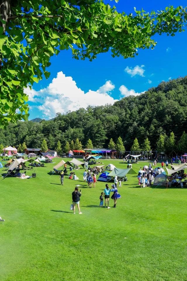 棒棒哒！伏牛山四季旅游度假区获奖