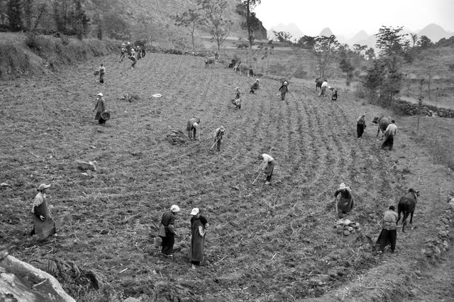边境上的那一片玉米地