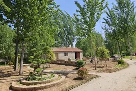 乡村振兴｜增“颜值”添“气质”，兰考持续推进洁美乡村建设图片