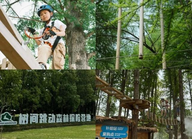 奉贤漫游指南：从海湾潮声到田园荷香，更有多重优惠