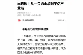 发“羊财”！从一只奶山羊到千亿产业链！图片