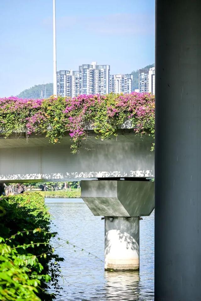 深圳知名景区紧急通知！