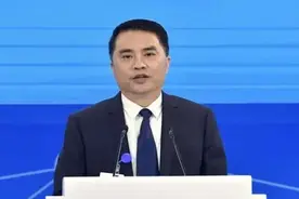 中央决定，湛东升履新图片