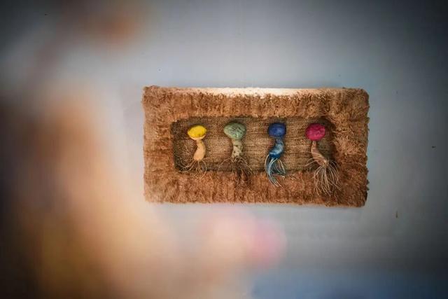 来东城这个胡同小院，邂逅蘑菇精灵的童话秘境——