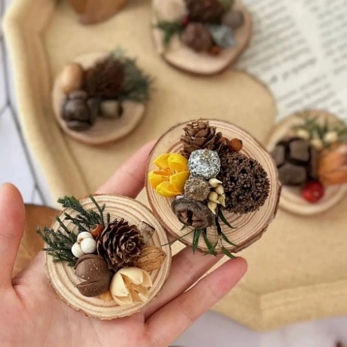 “不如去看一棵树” | 寻初冬彩蛋 圆明园邀您来打卡