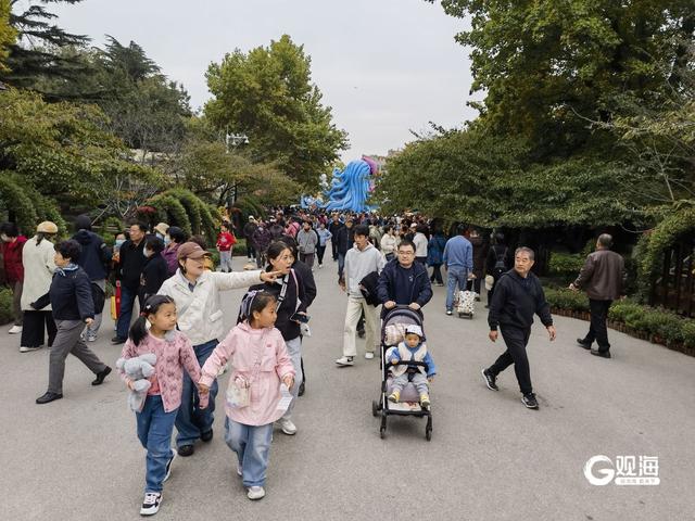 周末赏菊正当时，市民打卡中山公园
