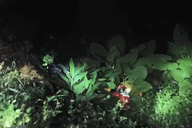 骑行“玩”出新高度，男子连人带车翻下山！图片