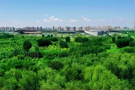 温故改革开放系列之一|改革，从打破“大锅饭”开始图片