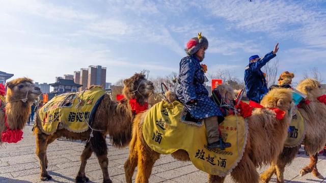 踏破风沙赴神都，白云山赠“终身旅游卡”！让天山来客常回“家”看看