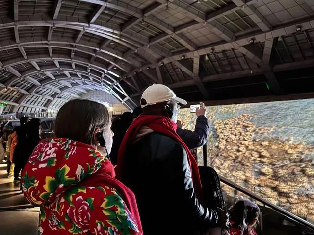 四海同心 一起过节 外国友人在朝阳玩嗨了