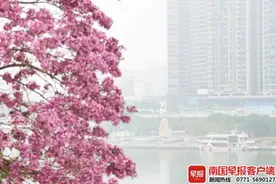 局地将迎中到大雨！广西本周继续潮！潮！潮！图片