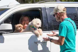美国商场大火致数百只宠物死亡图片