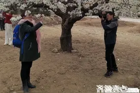 这人间值得图片