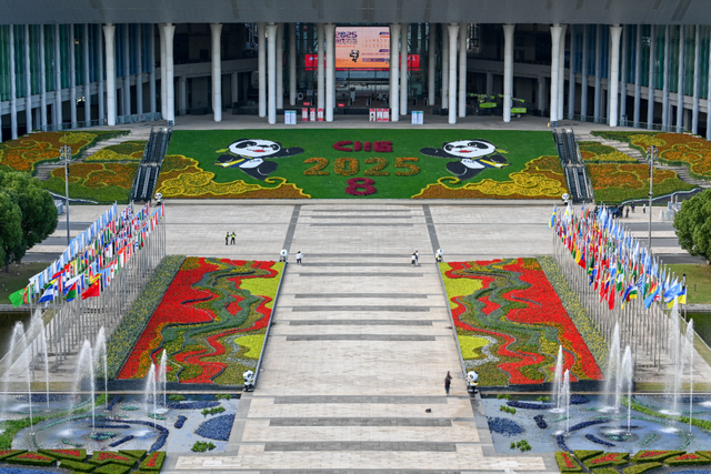 进博直击｜四叶草全面“定妆”，静待第八届进博会开幕