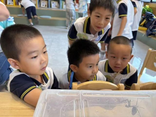 长春百草园“蜜蜂部落与昆虫王国探秘之旅”—引市民热捧