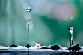 说字 | 谷雨说“谷”图片