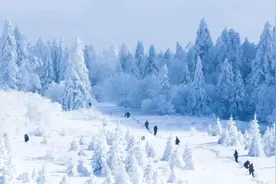 游客日本滑雪出意外！传说中的“粉雪”暗藏哪些“致命诱惑”？图片