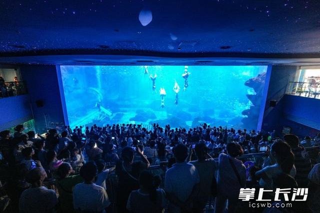 星城夏日“热”力涌：长沙暑期文旅消费绘就活力图景