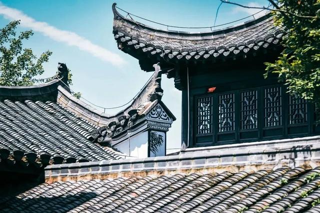 别去日本了！新洲的“同款”风景，美得更懂你