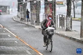 北京迎来春雪图片