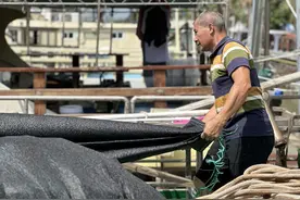 开渔追“鲜”！广州南沙海洋渔船开启新一轮捕捞季图片