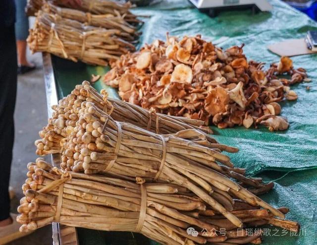 陇川：一座幸福满溢的边陲小城